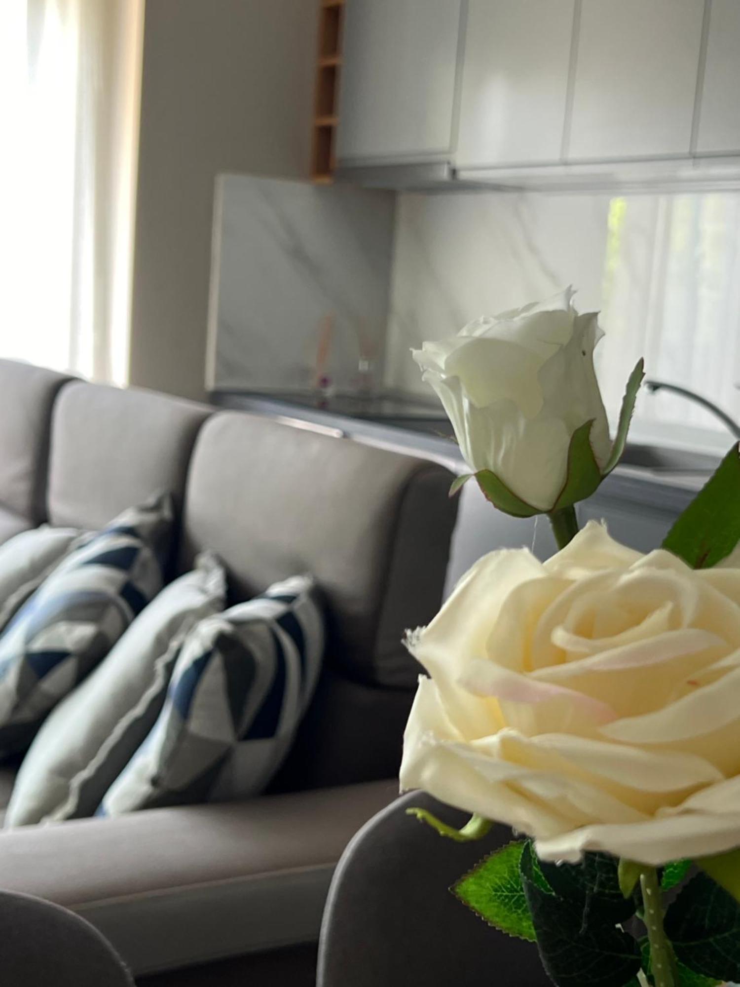 Alma Rose Apartment Korce Exteriér fotografie